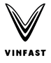 VINFAST TRADING AND PRODUCTION LLC